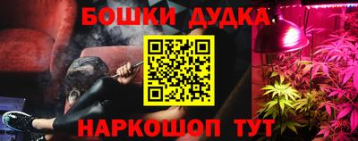 гидра Гай